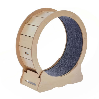Roue pour chats, grand tapis roulant pour animaux de compagnie, roue d'exercice pour chats avec tapis amovible, silencieuse et robuste, convient à la plupart des chats qui courent / marchent / s'entraînent