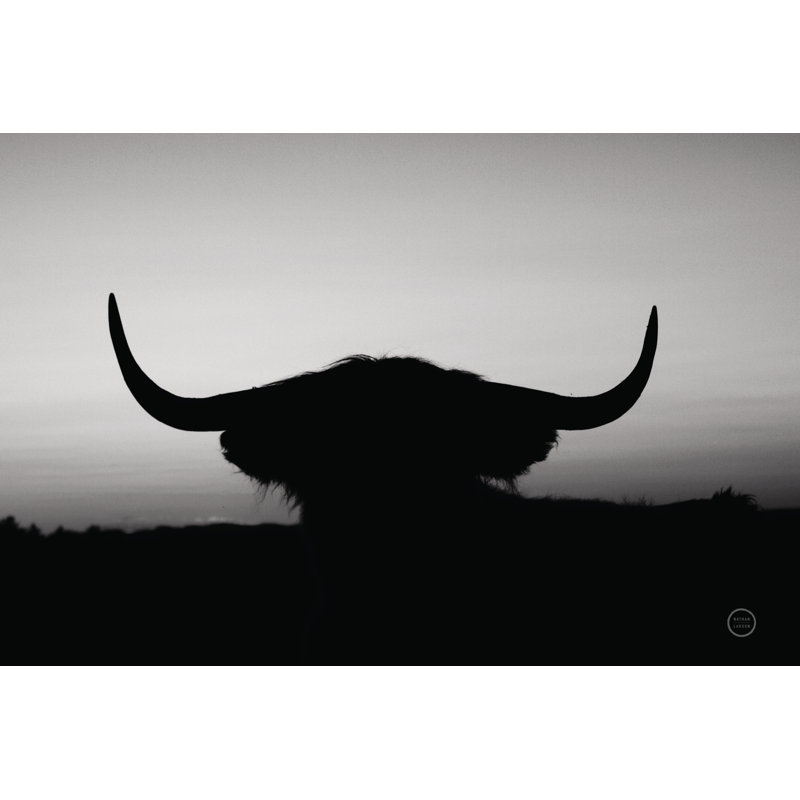 Bull Set BW Crop - Wrapped Canvas Print, 81cm H x 122cm W