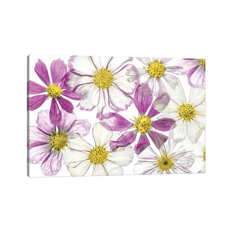 Keeping Summer by Mandy Disher - Wrapped Canvas Gallery-Wrapped Canvas Giclée, 20.32 cm H x 30.48 cm W