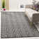 Royalton Hand Woven Cotton Geometric Rug