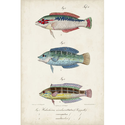 Trio de poissons antiques II