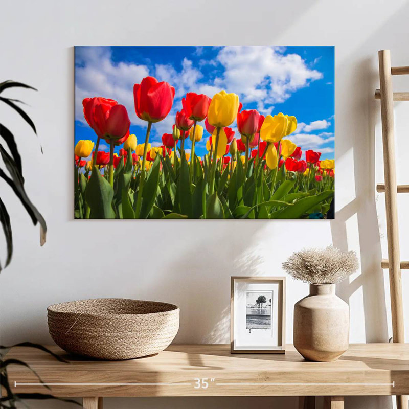 Champ de tulipes Harnek Spring, H 16 po x l 24 po