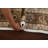 Indoor Rug-64490178