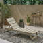 Chaise longue d'extérieur, chaise longue-1237659490-1237659517