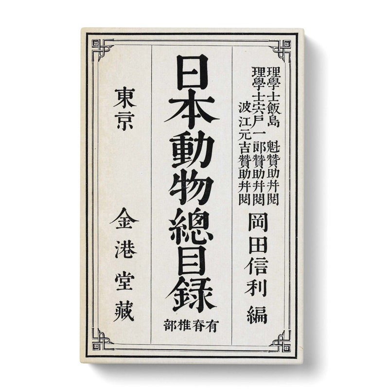 Japanese Calligraphy Script - Wrapped Canvas Painting, 60cm H x 40cm W x 3cm D