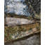 Italian Garden Fabric-476215730