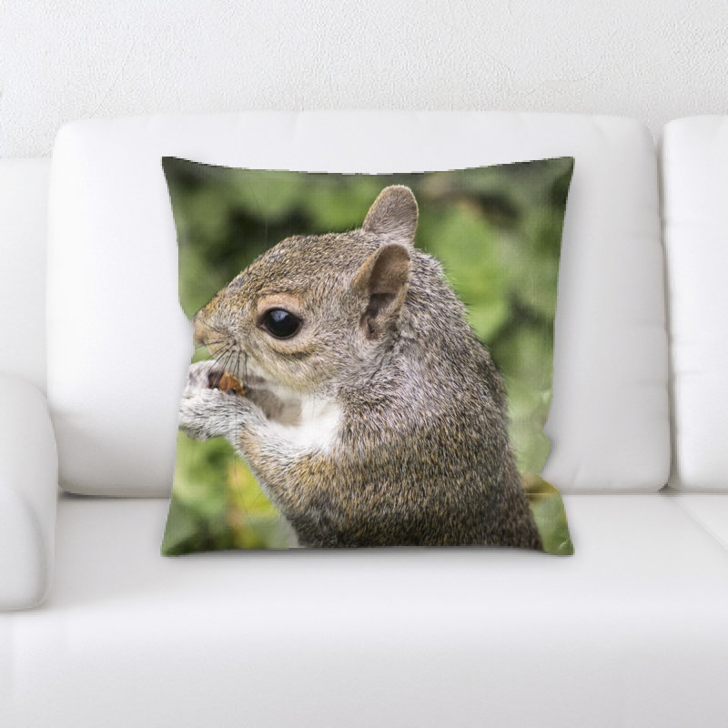 Coussin écureuil