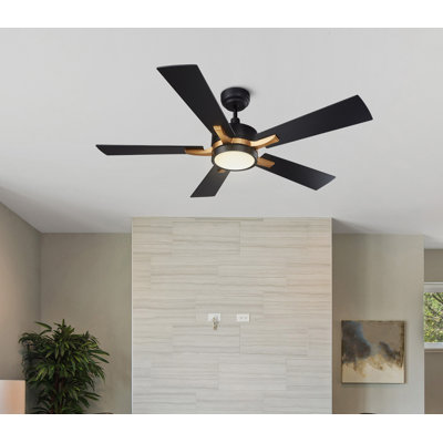 Briyan 52'' Ceiling Fan with LED Lights