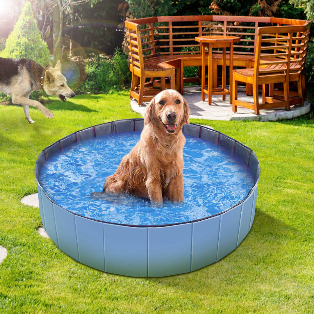 11.8'' Plastic Foldable Dog Pool iMounTEK 