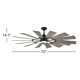 Elainea Ceiling Fan with LED Light Kit