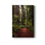 " Forest Path I "-1985710350