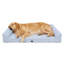 Lit orthopédique rafraîchissant pour chien, taille XL