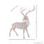 Cerf debout givré