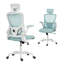 Chaise de bureau ergonomique, chaise de bureau avec appui-tête, vert clair-1728679533-1728679528