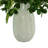 Budding Hydrangeas and Boxwoods in Ceramic Vase