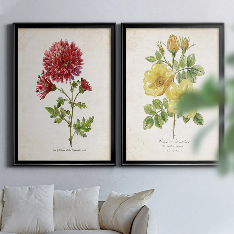 «Botanical III», ensemble de 2 reproductions d'impressions, H 18,5 po x l 49 po x P 1,5 po, Toile encadrée noire