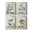 " Pastel Birds I " 4 - Pieces Painting Print-15036242-15036243