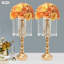 Backdrops & Signs-97872267-97872269