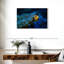 Poisson-clown tapi-107943320