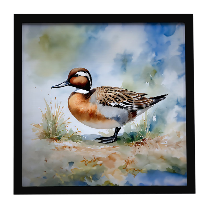 Northern Pintail Framed Metal Print