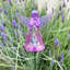 Ensemble de 2 piquets de jardin avec anches WindyWing Exhart, 4,5 par 30 pouces Exhart-1038302682