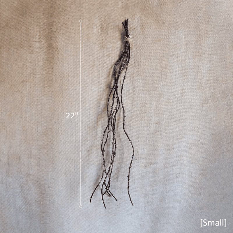 Branche de brindille Ikebana, Petit, Une tige