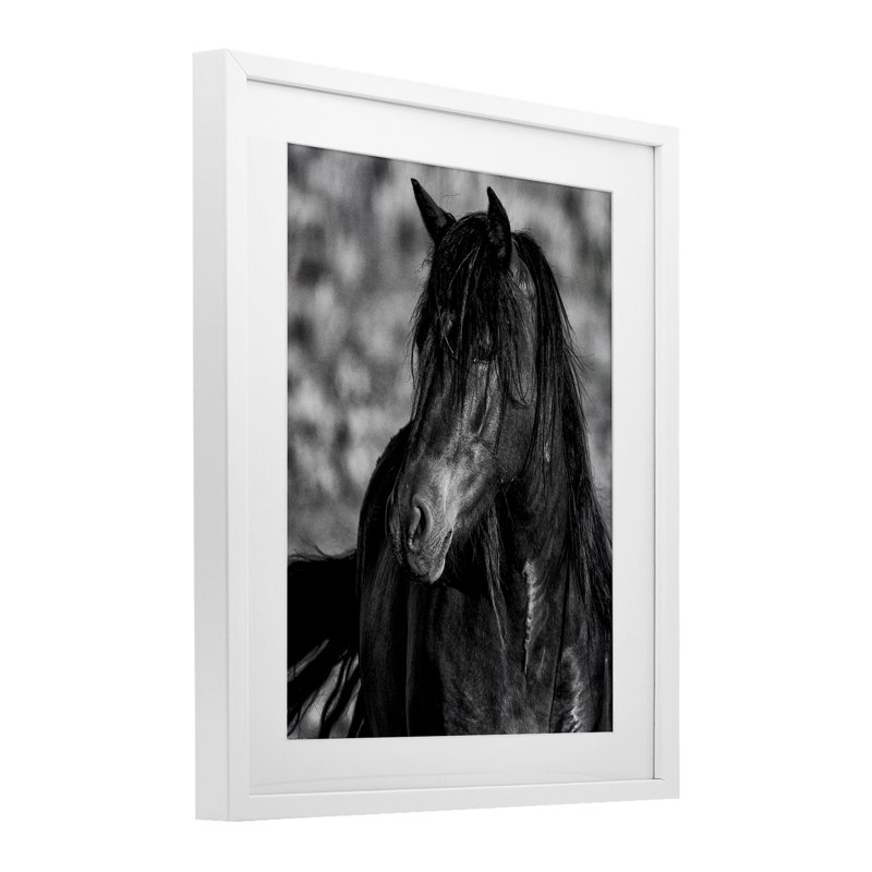 Beauté en noir, reproduction encadrée sous verre, design par Tim West, H 16 po x l 13 po