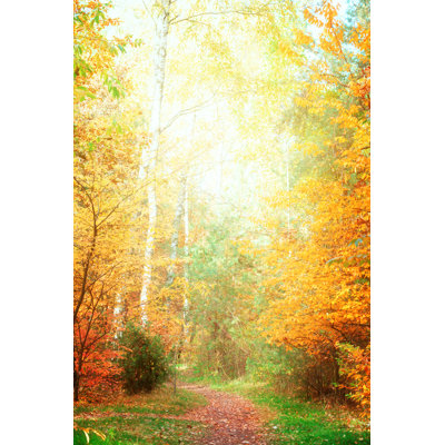 Soumare Fall Park - Wrapped Canvas Print