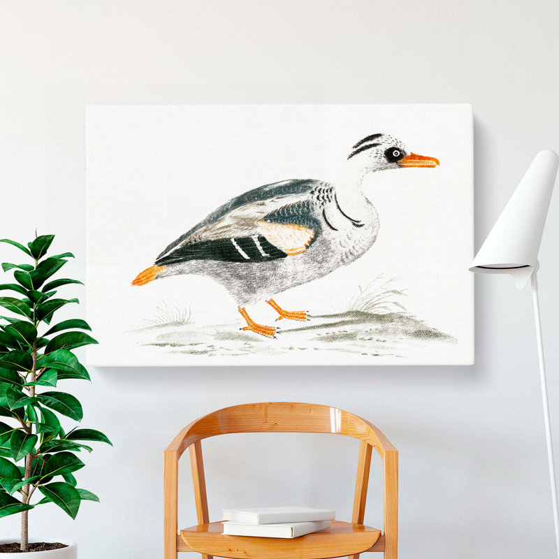 Portrait Of A Duck by Johan Teyler - Wrapped Canvas Print, 35cm H x 50cm W x 3cm D