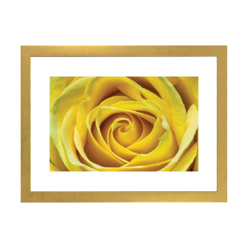 Jaune rose par Glauco Meneghelli-impression, Blanc, H 24 po x l 32 po x P 1 po, Papier encadré doré
