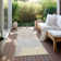 Malek Indoor/Outdoor Area Rug with Non-Slip Backing
