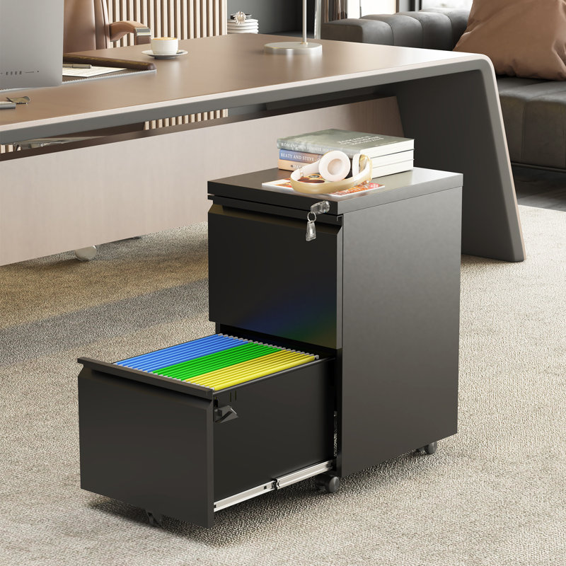 2 Drawer Mobile File Cabinet with Lock for Legal/Letter/A4 Size - Fully Assembled Except Wheels, Black