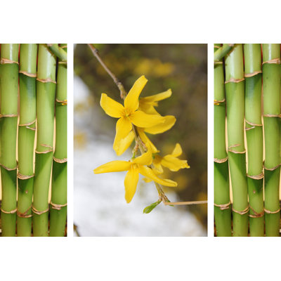 Forsythia And Bamboo Print by Joyce Creiger