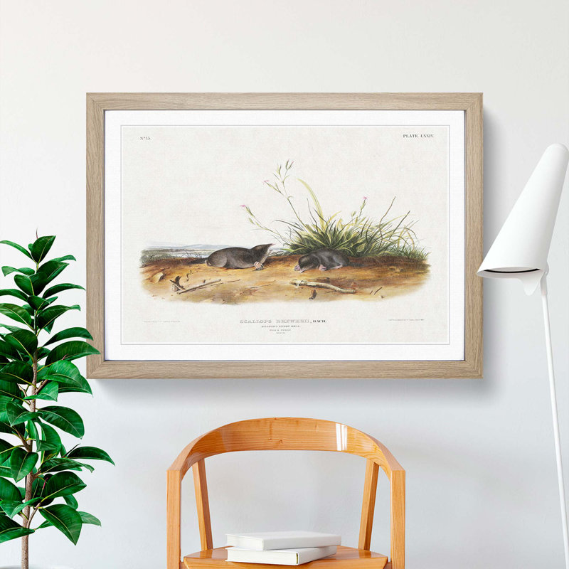 Shrew Moles by J.W. Audubon - Picture Frame Painting Print, 48cm H x 65cm W x 2cm D, Oak Framed