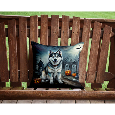 Other/No Pattern Outdoor Throw Pillow
