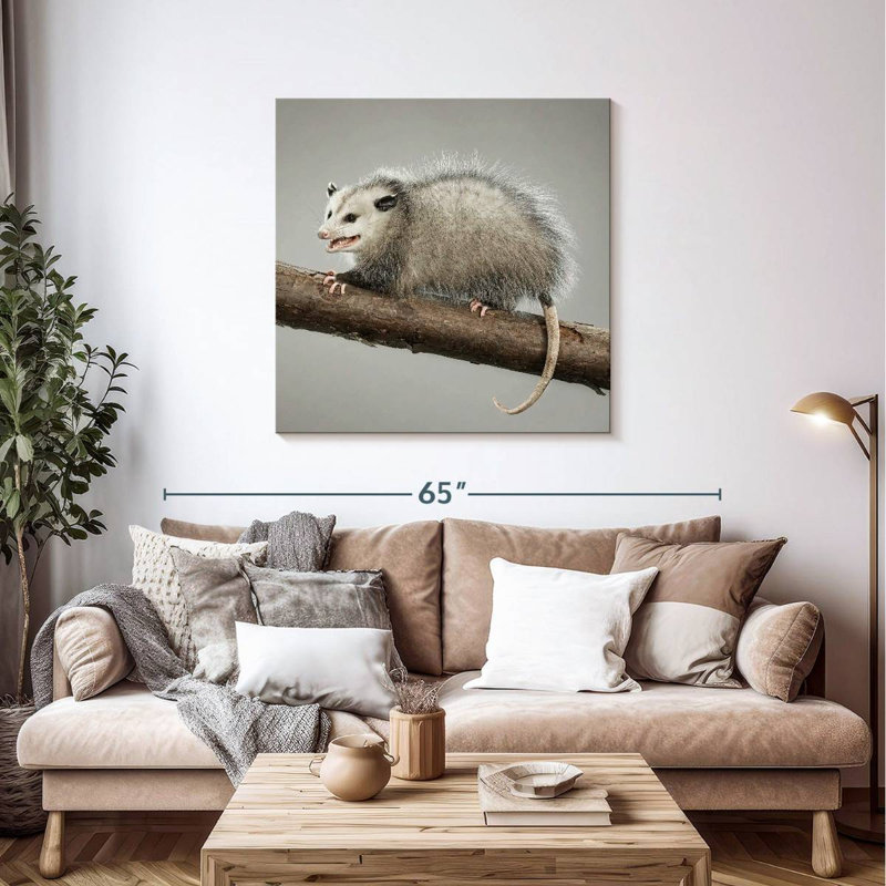 Brampt Snarky Opossum, 39'' H x 39'' W
