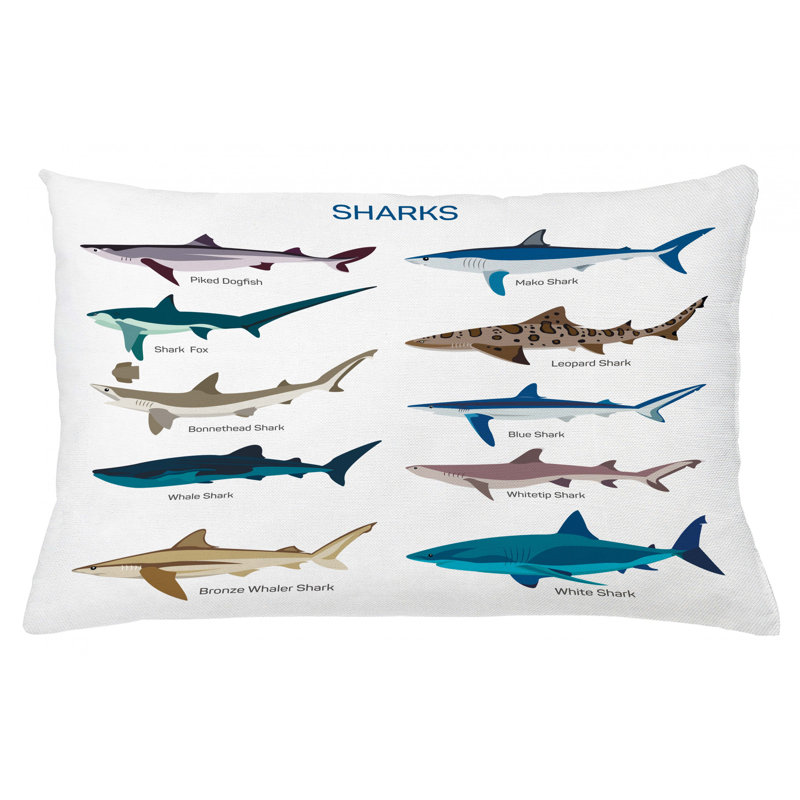 Housse de coussin lombaire intérieur/extérieur shark, 16 po x 26 po