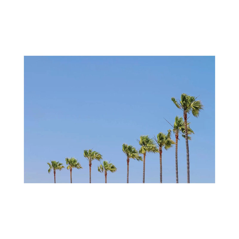 California Vibes by Melanie Viola - Wrapped Canvas Print, 20.32 cm H x 30.48 cm W