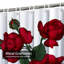 Rideau de douche avec 12 crochets Roses-1476858444