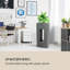 Cachepot-379241875-379241873