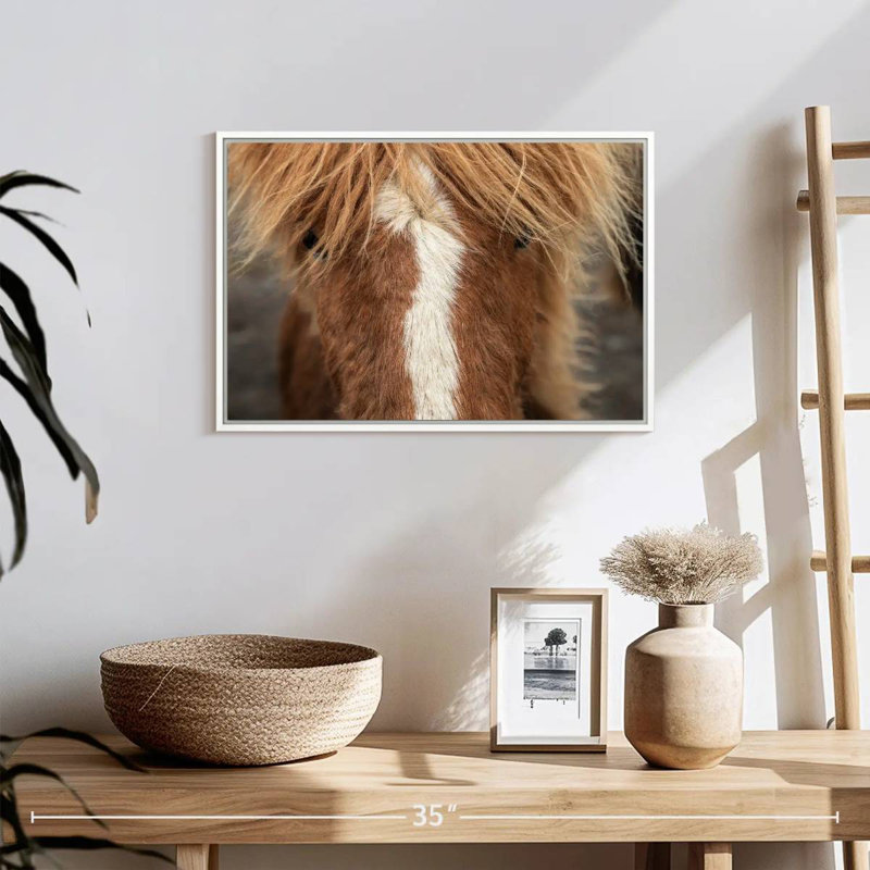 Gros plan d'un cheval Islandais, 19 po x 13 po, Cadre flottant blanc