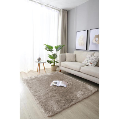Indoor Rug