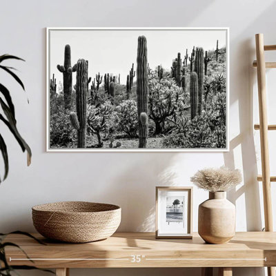 Arizona noir - Cactus étonnant I