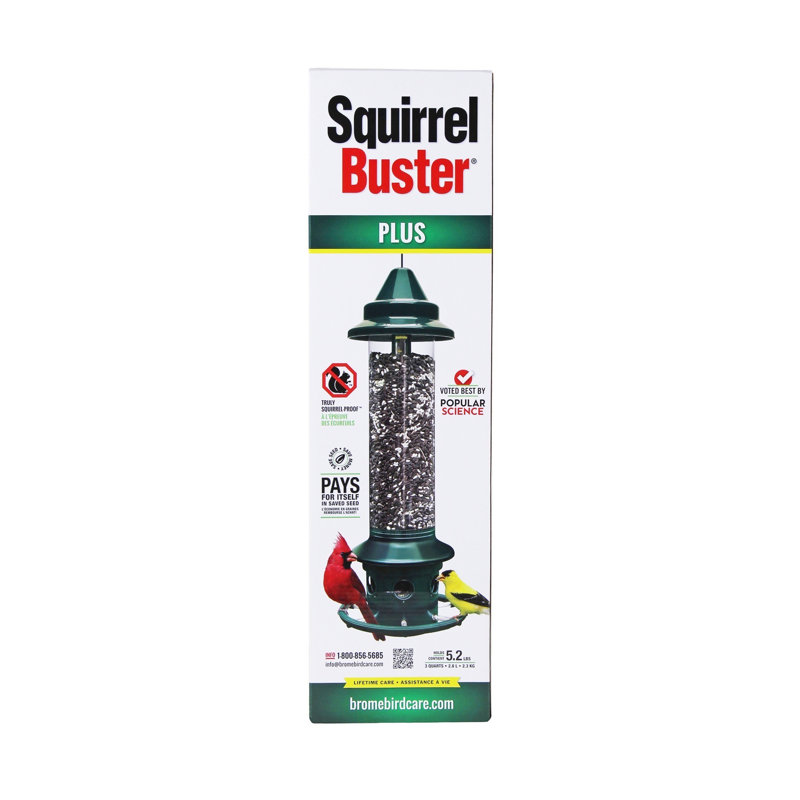 Decorative Bird Feeder