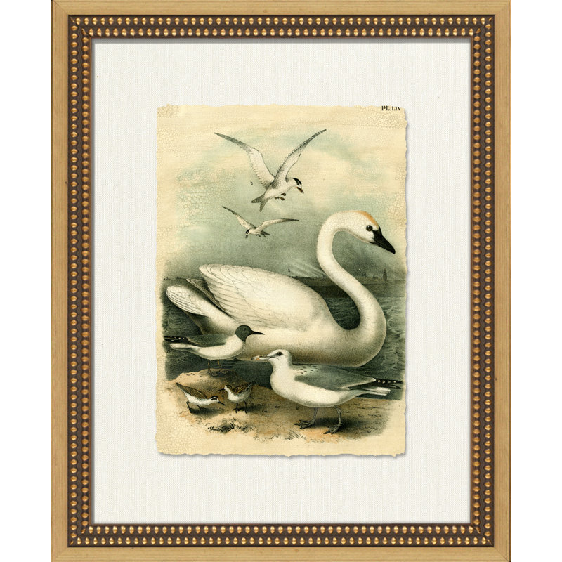 Crackled Marsh Birds IV - Peinture sur papier encadrée, Encadrement doré