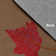 Chenille Floral Indoor Rug
