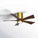 Irene 5 - Blade LED Ceiling Fan with Light Kit Included