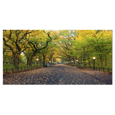 Cityscape Central Park Mall Area Canvas Photograph - Mall Area