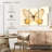 Butterfly Memento-107954630