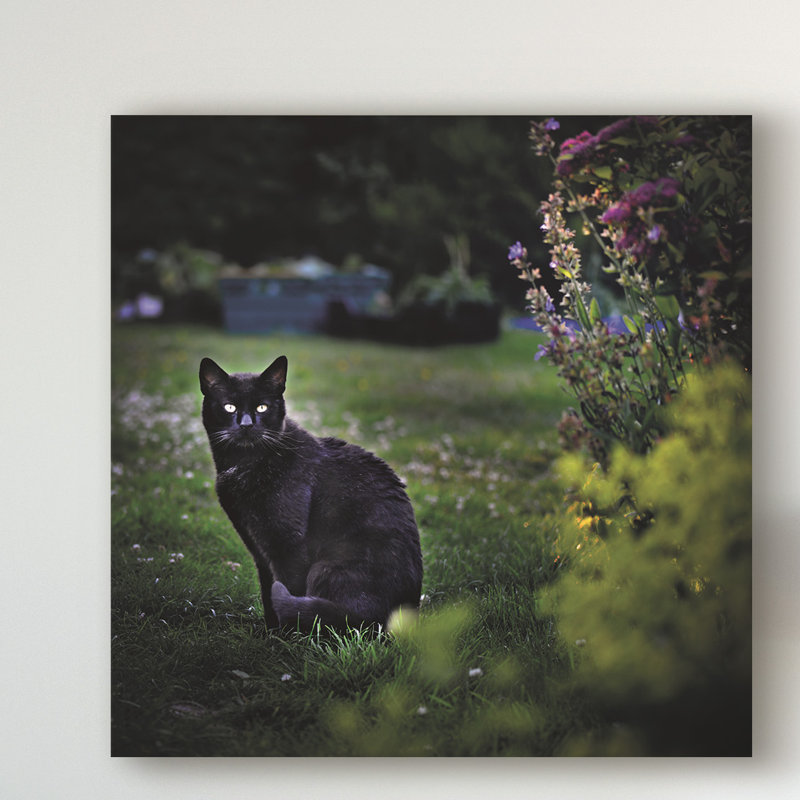 «Black Cat in the Garden», reproduction de photo sur toile tendue, H 35 po x l 35 po x P 2 po